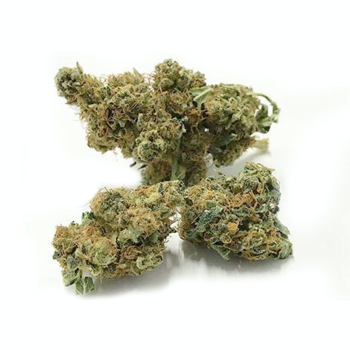 Mango haze 2 grams