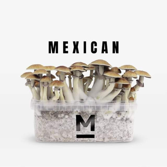 Mexican paddo growkit 2100 cc